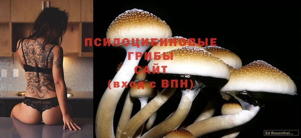 jwh Нефтегорск