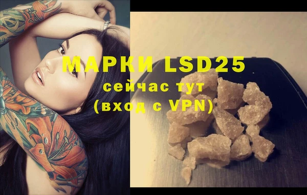PSILOCYBIN Магадан