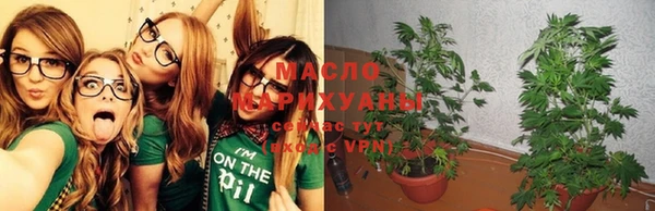 трава Надым