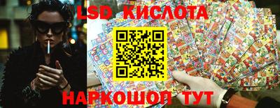 крисы Гусев