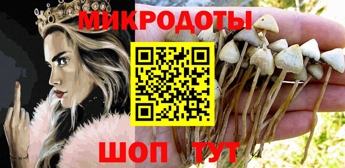Псилоцибиновые грибы MAGIC MUSHROOMS  наркошоп  Ирбит  Галлюциногенные грибы прущие грибы 