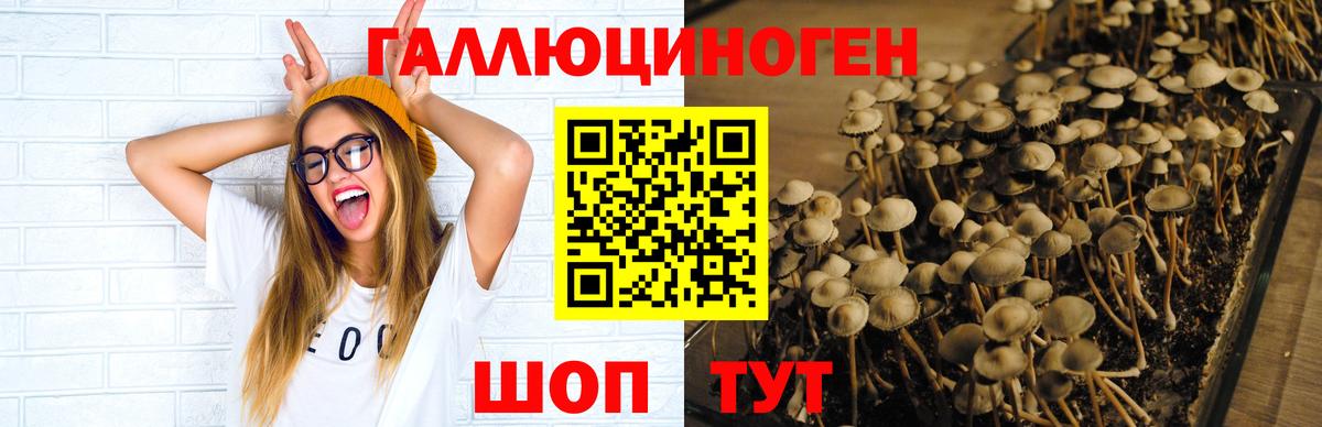 Псилоцибиновые грибы Cubensis  Вход с VPN  закладка  Ирбит 